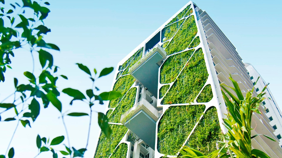CDL sets world record for largest vertical garden