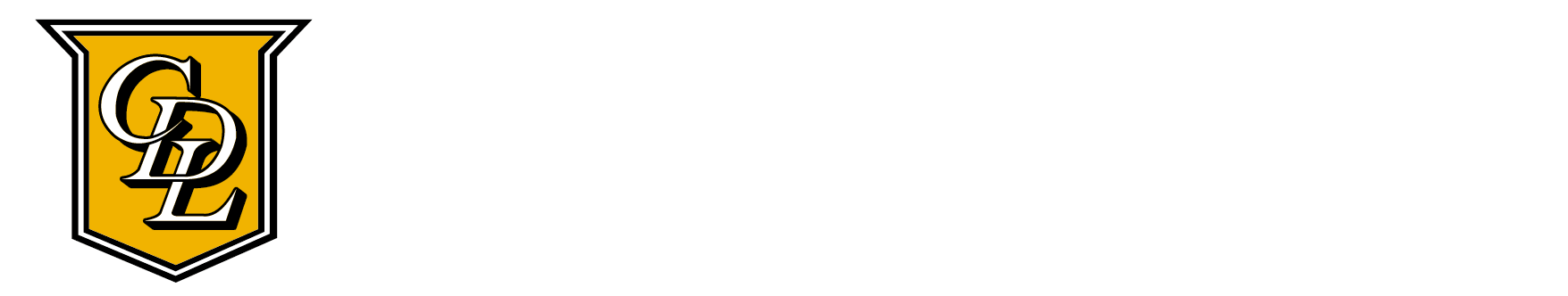 城市发展有限公司