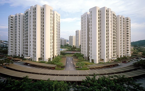 Cashew Heights
